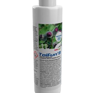 Taifun B